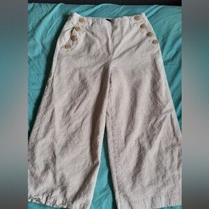 Ann Taylor dress pants